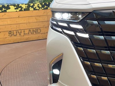 2025 Toyota ALPHARD 缩略图 14