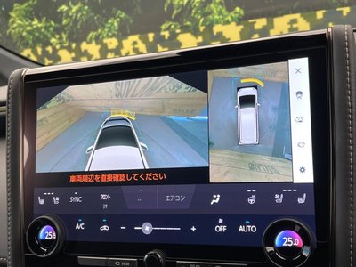 2025 Toyota ALPHARD 缩略图 65