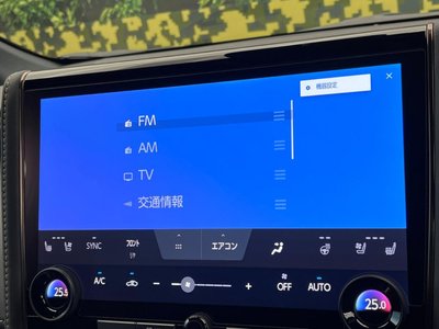 2025 Toyota ALPHARD 缩略图 66