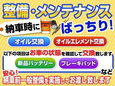 TOYOTA LAND CRUISER 250 - 3