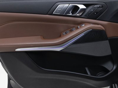 2022 BMW X7 缩略图 12
