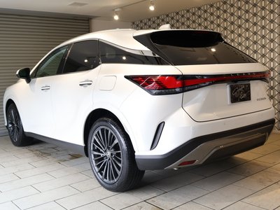 LEXUS RX - 2