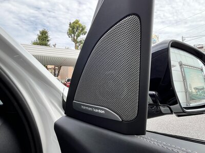 BMW X7 2024 thumbnail 14