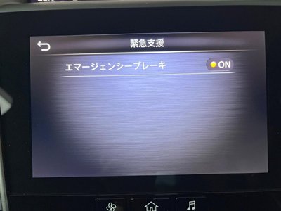 2020 NISSAN SKYLINE 照片 5