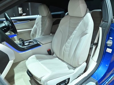 2019 BMW 8 SERIES — миниатюра 18