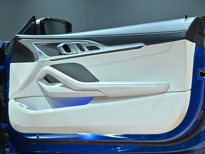 2019 BMW 8 SERIES — миниатюра 60