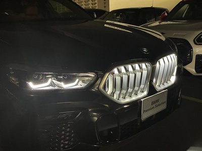 2022 BMW X6 thumbnail 20