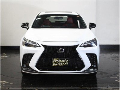 2023 Lexus NX 照片 8