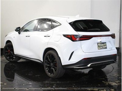 2023 Lexus NX 照片 7