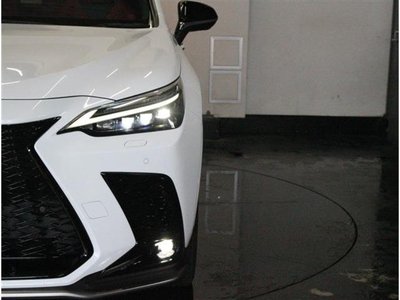 2023 Lexus NX — миниатюра 38