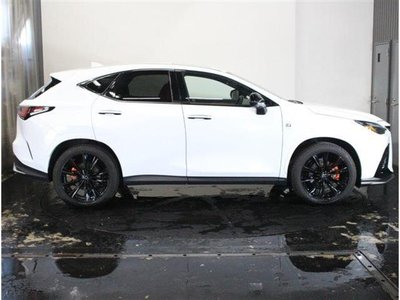 2023 Lexus NX 照片 10