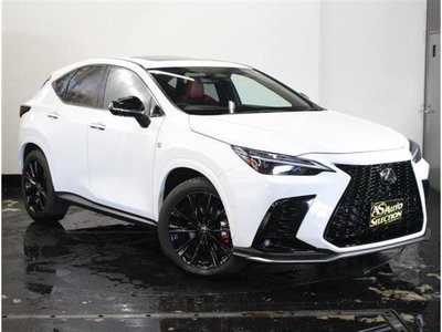 2023 Lexus NX 照片 5