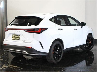 2023 Lexus NX 照片 6