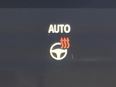 2024 Toyota ALPHARD — миниатюра 40