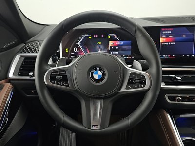 2025 BMW X6 — миниатюра 19