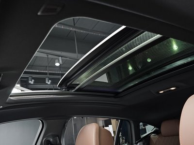 2025 BMW X6 — миниатюра 25