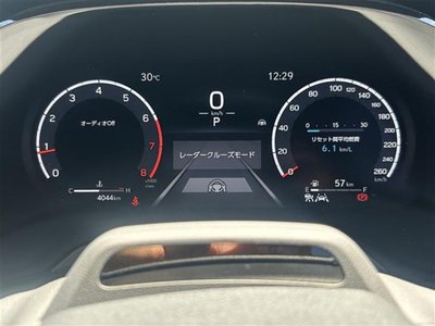 2025 Lexus RX thumbnail 20