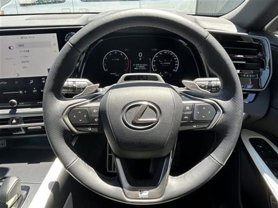 2025 Lexus RX thumbnail 19