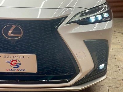 LEXUS NX - 10