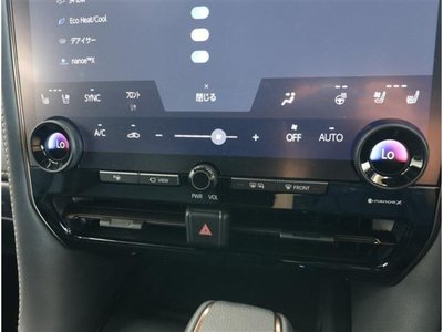 2025 TOYOTA ALPHARD thumbnail 29