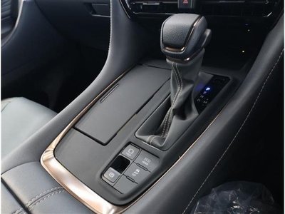 2025 TOYOTA ALPHARD thumbnail 30
