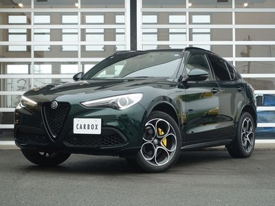 صورة 1 لـ 2022 ALFA Romeo STELVIO