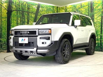 2025 Toyota LAND CRUISER 250 缩略图 29