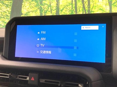 2025 Toyota LAND CRUISER 250 缩略图 37