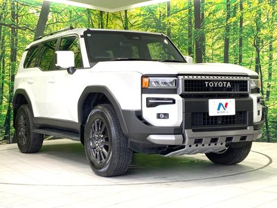 2025 Toyota LAND CRUISER 250 缩略图 17