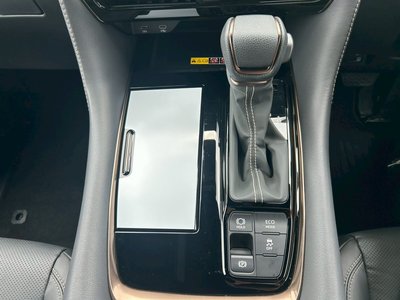 2025 Toyota ALPHARD thumbnail 39