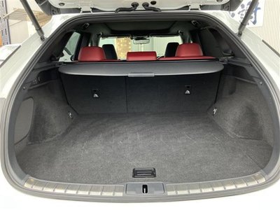 2023 Lexus RX thumbnail 12