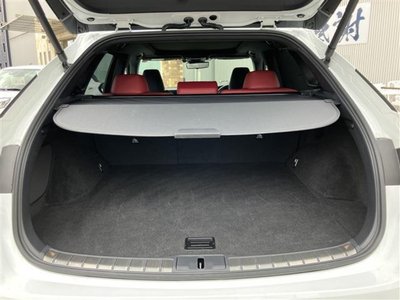2023 Lexus RX thumbnail 13