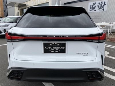 2023 Lexus RX thumbnail 11