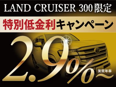 TOYOTA LAND CRUISER 300 - 4