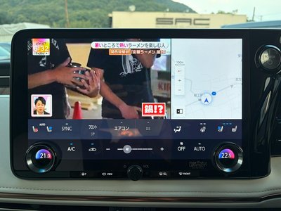 2024 Lexus LM 缩略图 67