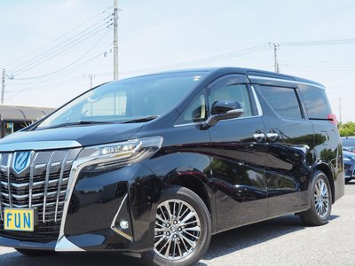2023 Toyota ALPHARD — миниатюра 11