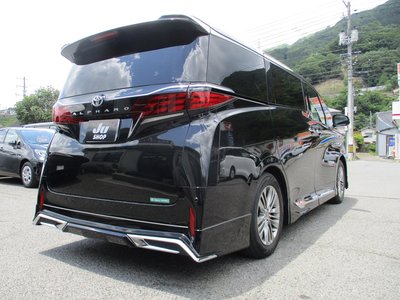 2025 TOYOTA ALPHARD 缩略图 21