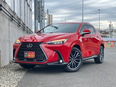 LEXUS NX - 7