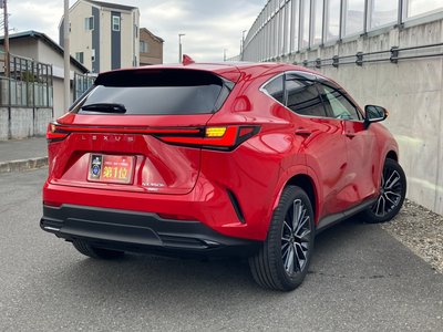 LEXUS NX - 8