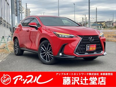 LEXUS NX - 2