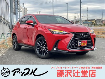 LEXUS NX - 1