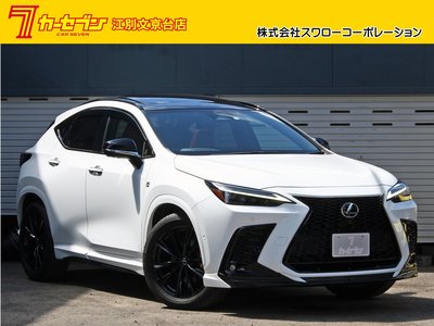 LEXUS NX - 1