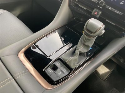 TOYOTA ALPHARD - 10