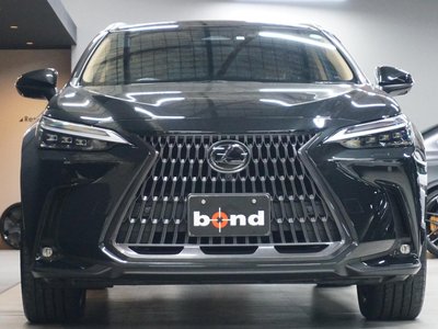 LEXUS NX - 10