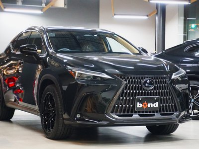 LEXUS NX - 4