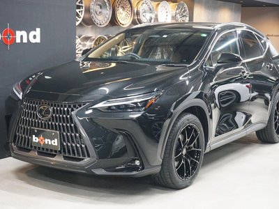 LEXUS NX - 8