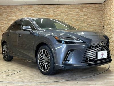 2024 Lexus RX — миниатюра 15