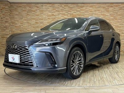 2024 Lexus RX — миниатюра 14