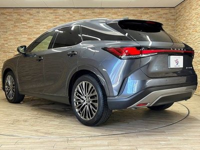 2024 Lexus RX — миниатюра 17