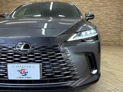 2024 Lexus RX — миниатюра 20